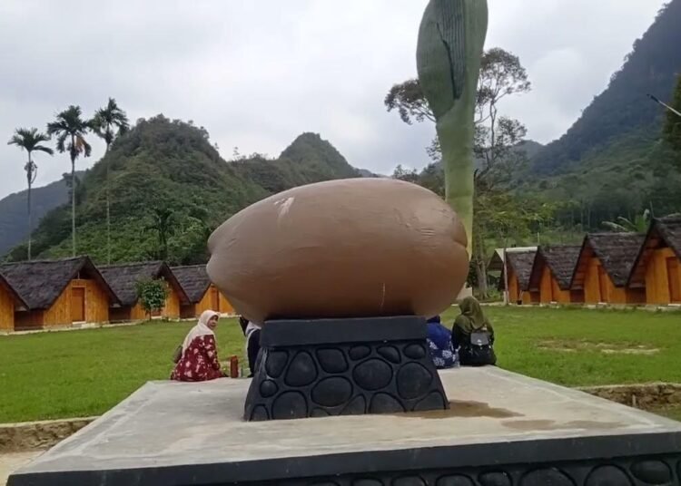 KWS Wisata Agro Harau