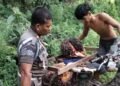 Salah seorang pelaku yang tertangkap tangan oleh anggota Satpol PP saat panen sawit di lahan TKD Muara Kiawai