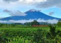 Jalur Baru Pendakian Gunung Kerinci via Solok Selatan Resmi Dibuka, Waktu Tempuh Lebih Singkat