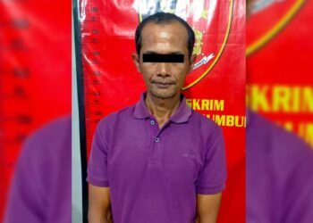 Buronan Pencuri Cabai Ditangkap Saat Berdagang Ikan di Payakumbuh