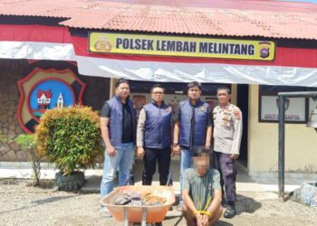 Buronan Pencuri Sawit di Pasaman Barat Ditangkap, Terancam Hukuman Maksimal 7 Tahun