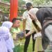 Ratusan Anak TK dan PAUD Meriahkan Gebyar Hari Anak Nasional di Padang Pariaman