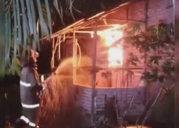 Tengah Malam Membara di Pasaman, Rumah Petani Ludes Terbakar