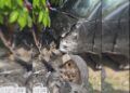 Gran Max Seruduk Motor Parkir di Pesisir Selatan hingga Ringsek, Seorang Pelajar Jadi Korban