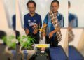 Tanam Sembilan Batang Ganja, Pria di Agam Ditangkap, Adiknya Ikut Diringkus