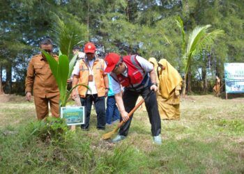 Dukung Tobat Ekologis di Sumbar, PT Semen Padang Serahkan 3.300 Bibit Mangrove, Disaksikan Menteri LH
