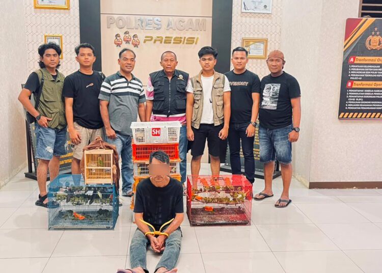Tim gabungan Balai Konservasi Sumber Daya Alam (BKSDA) Sumatera Barat bersama Satreskrim Polres Agam menangkap seorang pria berinisial KZ (48) di depan Polsek IV Nagari, Kecamatan Ampek Nagari, Kabupaten Agam, pada Sabtu (18/7/2026) sekitar pukul 23.00 WIB karena diduga memperdagangkan ratusan burung ke Lampung. Foto: BKSDA Sumbar