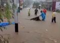 Video: Banjir Rendam Permukiman di Pasaman Barat, Jalan Utama Berubah Jadi Sungai