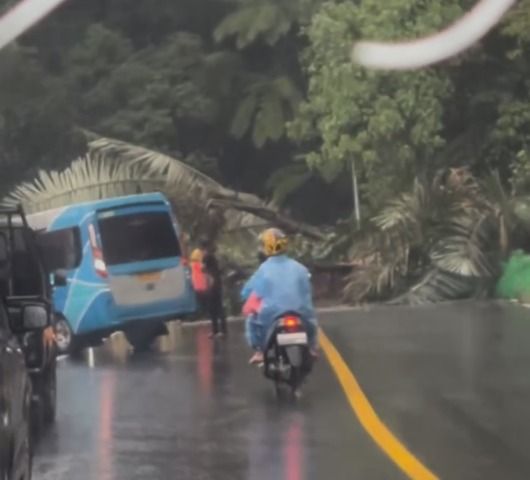 Video: Longsor Tutup Jalur Lembah Anai, Akses Padang–Bukittinggi Terputus Sementara