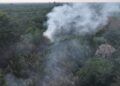 Bakar Lahan Milik Sendiri, Pria 79 Tahun di Riau Jadi Tersangka