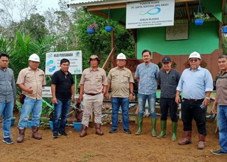 Area hutan di Dusun Serdang, Nagari Tapan, yang dilaporkan Kelompok Tani Harapan Makmur kepada KPHP Pesisir Selatan.