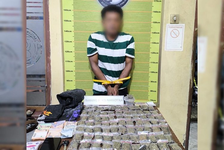 Polisi menangkap seorang pria di rumahnya di Jorong Koto, Nagari Singgalang, Kecamatan X Koto, Tanah Datar, Sumatera Barat (Sumbar), pada Rabu (5/8/2026) sekitar pukul 22.30 WIB karena menyimpan 82 paket ganja. Foto: Polres Padang Panjang
