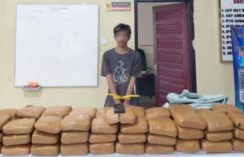 Simpan Ganja 61 Kg, Pria di Padang Pariaman Ditangkap di Depan Istri dan Mertua