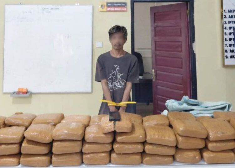 Polisi menangkap seorang pria di rumah mertuanya di Korong Toboh Palak Pisang, Nagari Sintuk, Kecamatan Sintuk Toboh Gadang, Padang Pariaman, Sumatera Barat (Sumbar), pada Sabtu (8/8/2026) subuh karena menyimpan 61 kilogram (kg) ganja. Foto: Polres Padang Pariaman