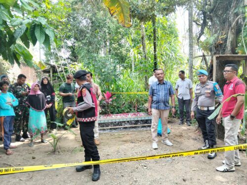 Polisi Selidiki Penemuan Janin di Bawah Pohon Aren di Lima Puluh Kota
