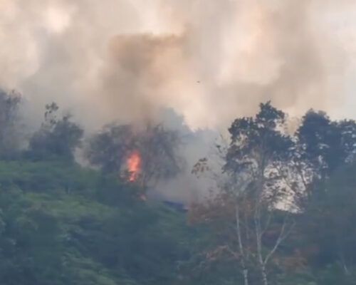 Kebakaran Landa Perbukitan di Lima Puluh Kota, Diduga Akibat Pembukaan Lahan