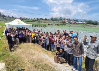 Dari Listrik untuk Kehidupan, PLN Dukung Petani Bawang Alahan Panjang Makin Produktif