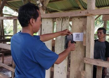 Sidik Ternak, Inovasi Digital Dharmasraya untuk Pantau Kondisi Ternak
