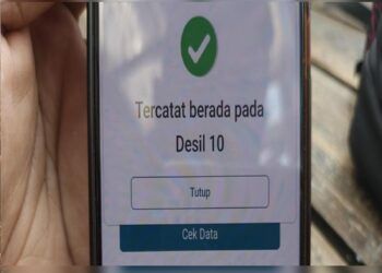 Desil 1-10 Jadi Sorotan, Ini Cara Cek hingga Mengubah Data yang Tak Sesuai