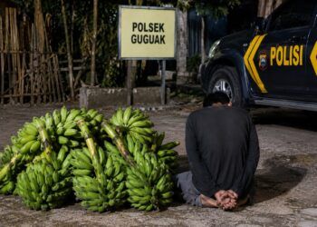Ketahuan Ambil Lima Tandan Pisang, Pria di Lima Puluh Kota Nyaris Diamuk Massa