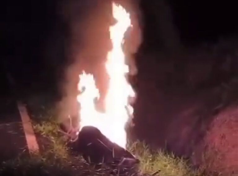 Motor Diduga Milik Pencuri Sawit di Agam Dibakar Warga
