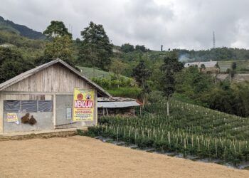 Proyek Energi Panas Bumi di Tanah Datar Ditolak Warga, Pemerintah Didesak Bersikap Tegas