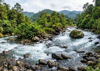 Menyimpan Air Hari Ini untuk Menghadapi Kemarau Sumatera Barat