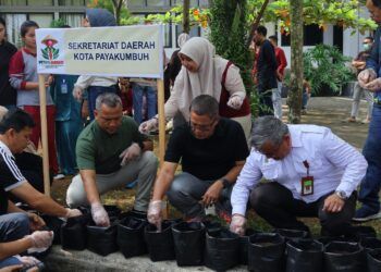 Petani Berdasi Mulai Dieksekusi, ASN Payakumbuh Tanam Bawang Merah dan Cabai
