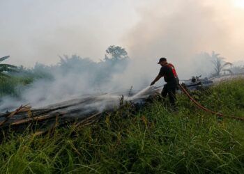 Karhutla di Dharmasraya Tertangani dengan Baik berkat Kolaborasi Lintas Sektoral
