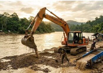 Privat: Warga Sebut Tambang Emas Ilegal di Pasaman Barat Kian Marak, Diduga Dibekingi Oknum Aparat dan Pejabat