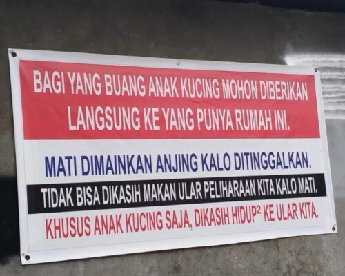Spanduk di Padang Minta Anak Kucing untuk Pakan Ular Viral di Media Sosial