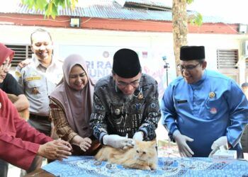 Pemko Padang Siapkan 1.400 Dosis Vaksin Rabies Gratis pada 2026
