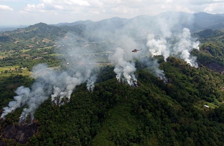 Ilustrasi titik panas kebakaran hutan dan lahan di Sumatera Barat. Ilustrasi: Gemini AI