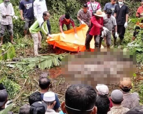 Hilang Enam Hari, Lansia Ditemukan Meninggal di Rawa Solok Selatan