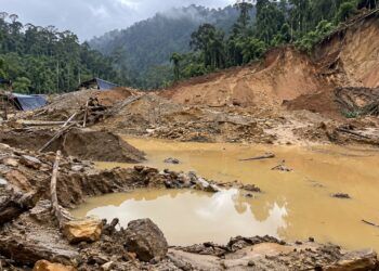 4 Orang Tewas Tertimbun Longsor di Solok Selatan, WALHI Soroti Dugaan Pembiaran Tambang Emas Ilegal