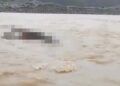 Video: Warga Temukan Mayat Telungkup di Tepi Sungai Pasaman Barat