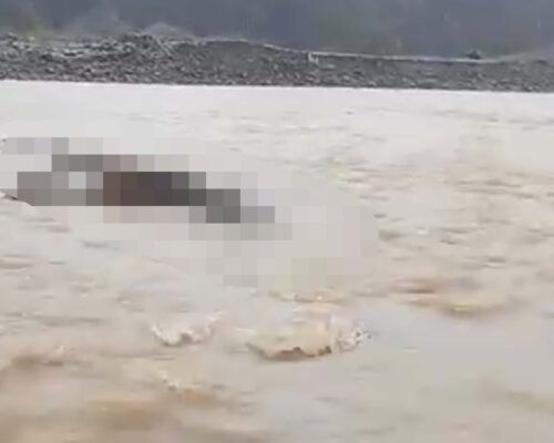 Video: Warga Temukan Mayat Telungkup di Tepi Sungai Pasaman Barat