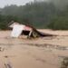 Banjir Terjang Pesisir Selatan, Puluhan Warga Dilaporkan Terjebak